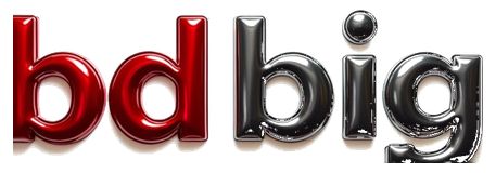 bdbig logo